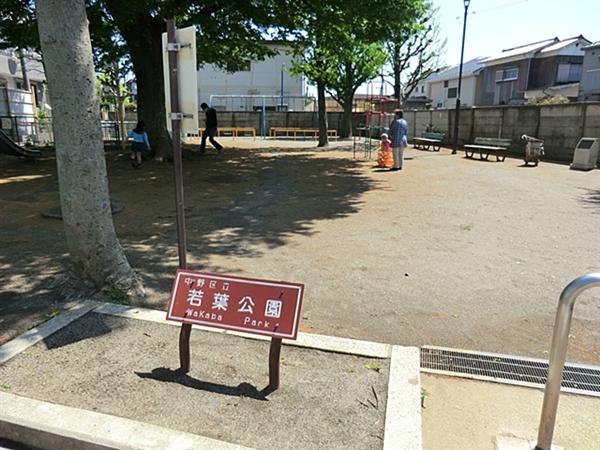 park. 296m until the young leaves park