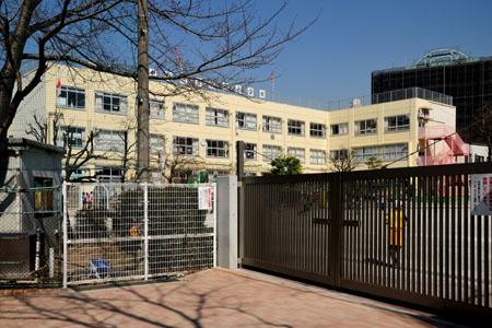 Primary school. Peach Blossom until elementary school 251m