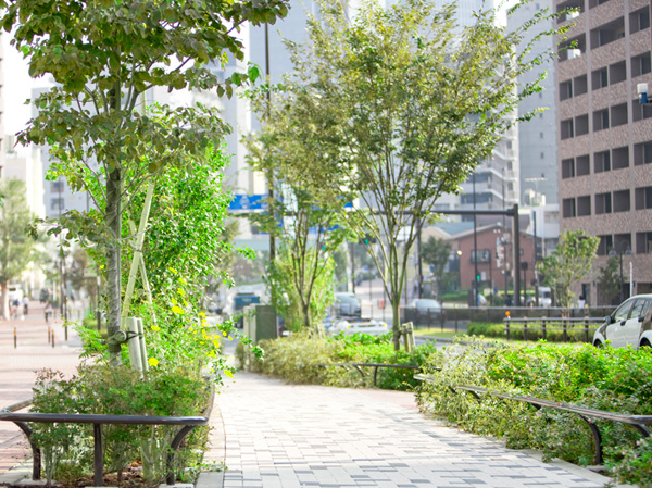 Surrounding environment. Yamate Street (local ago)
