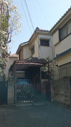 Local land photo. local