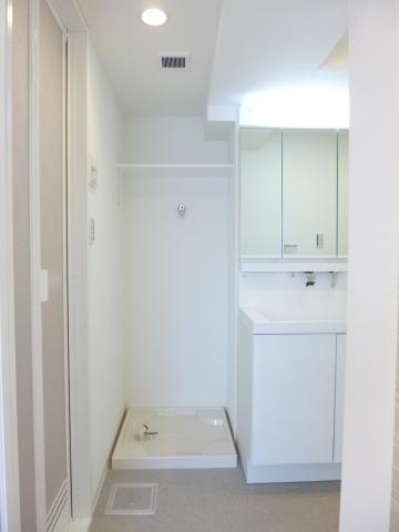 Other. Laundry Area