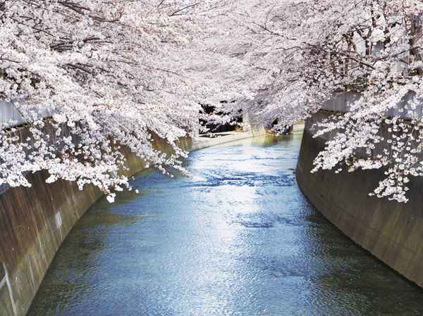 Surrounding environment. Kanda River (about 770m ・ A 10-minute walk)