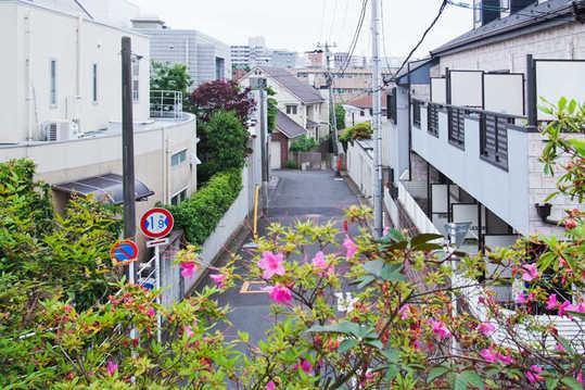 View photos from the local. Land is now on a hill, Moreover, before the south-th view there is no feeling of pressure because it is a road is good.