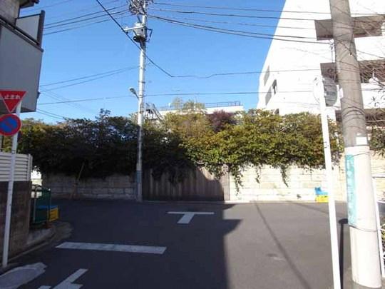 Local photos, including front road. It is a photograph taken from the south side of the road.