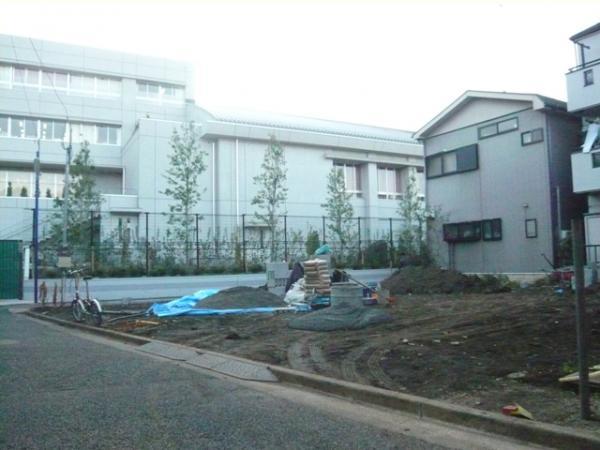 Local appearance photo. 2013 / 11 / 19 shooting