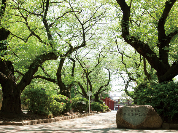 Surrounding environment. Ward Arai Yakushi park (about 450m ・ 6-minute walk)