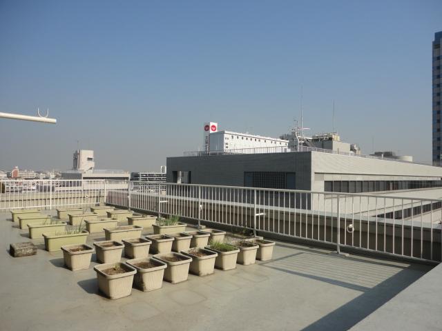 Balcony. Balcony of 78.23 sq m.