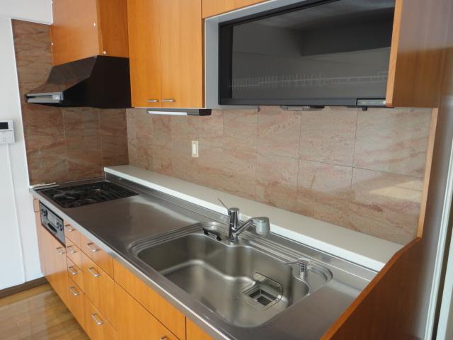 Kitchen. water filter, With dish dryer