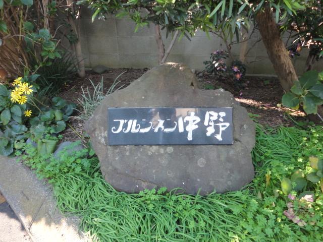 Other