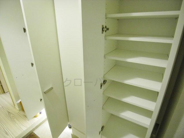 Entrance. Footwear purse