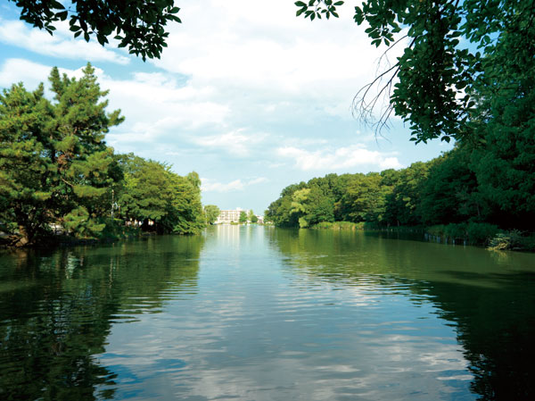 Surrounding environment. Shakujii Park (about 3.4km ・ Bicycle about 14 minutes)