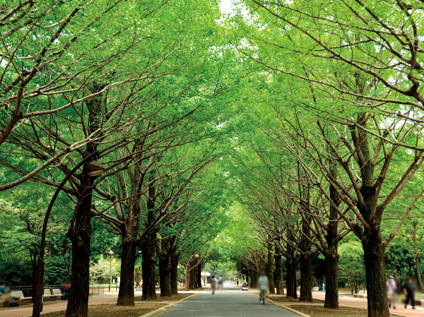 Surrounding environment. Hikarigaoka park (about 3.7km ・ Bicycle about 15 minutes)
