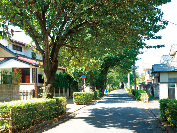 Surrounding environment. Local neighborhood streets (about 10m ・ 1-minute walk)