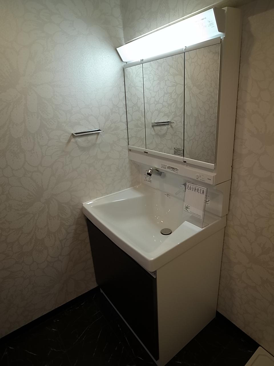 Wash basin, toilet. Indoor (12 May 2013) Shooting