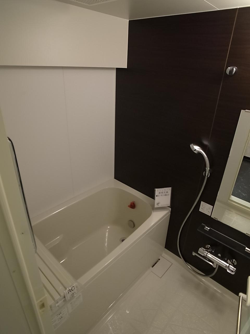 Bathroom. Indoor (12 May 2013) Shooting