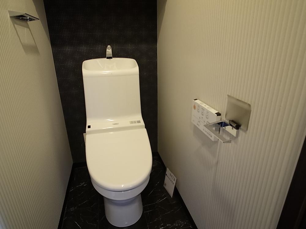 Toilet. Indoor (12 May 2013) Shooting