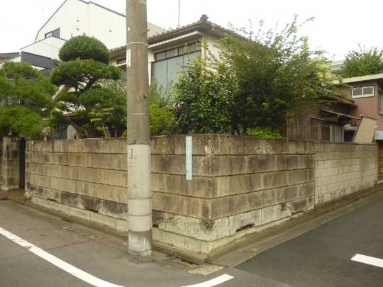 Local land photo. appearance