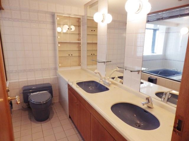 Wash basin, toilet