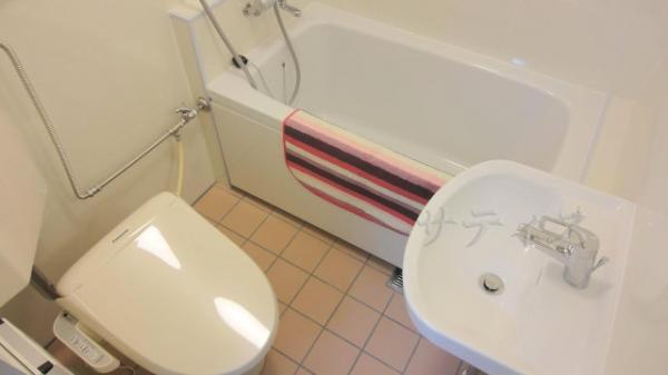 Wash basin, toilet