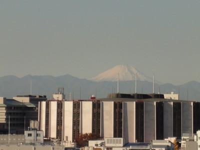 View photos from the dwelling unit. View from the site (December 2013) Shooting