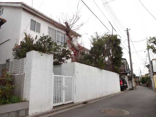 Local land photo. Local (appearance)