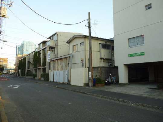 Local land photo. Appearance (1)