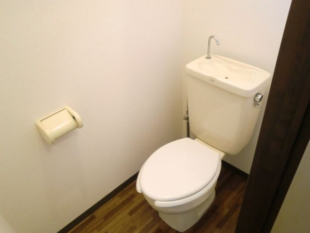 Toilet. Clean toilets