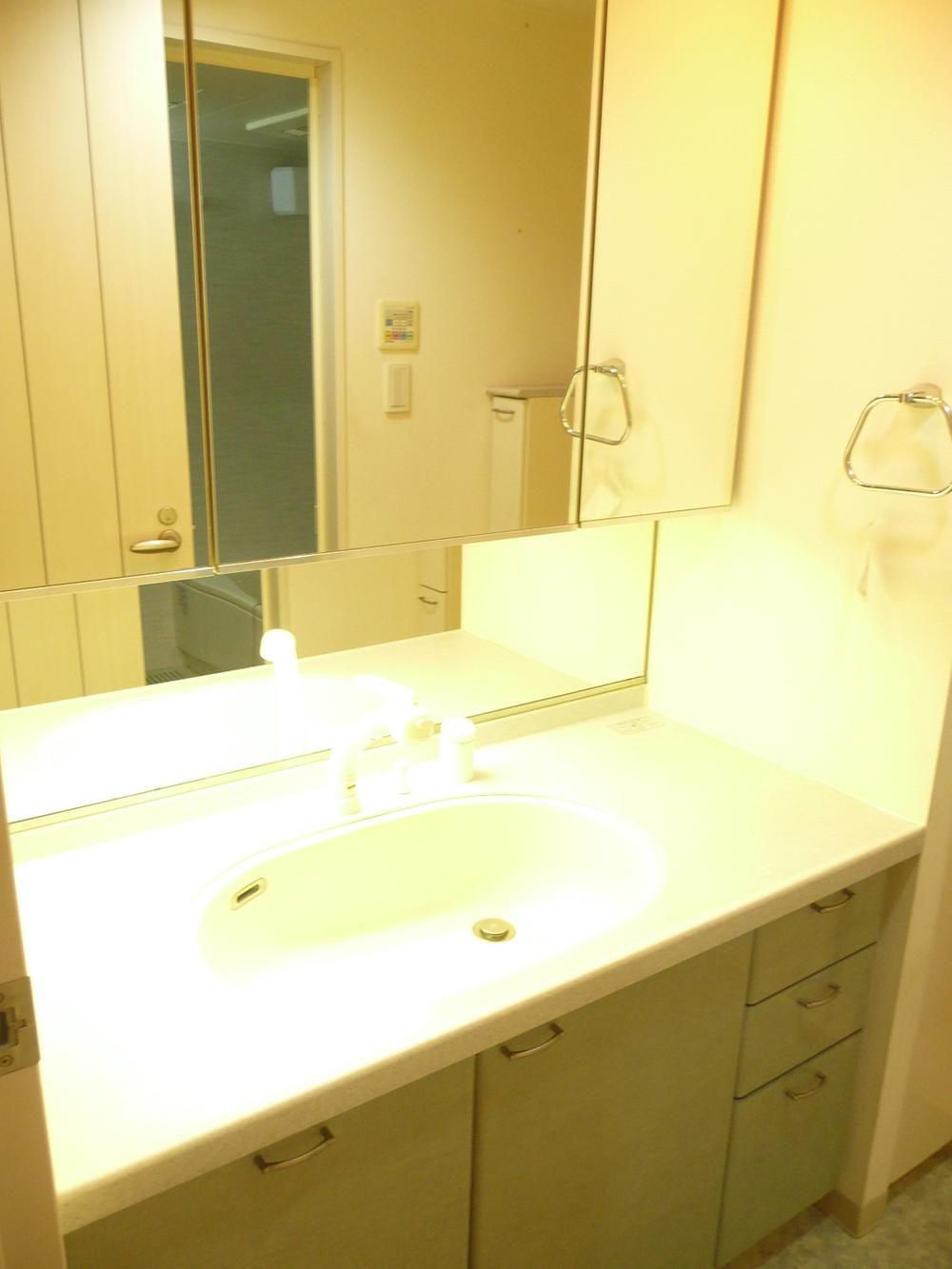 Wash basin, toilet. Bathroom vanity