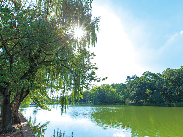 Surrounding environment. Shakujii Park (walk 21 minutes ・ About 1680m)