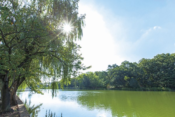 Shakujii Park (walk 21 minutes ・ About 1680m)