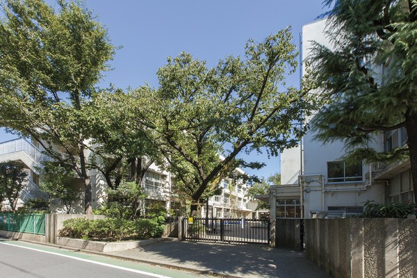 Kami Shakujii elementary school (about 430m)