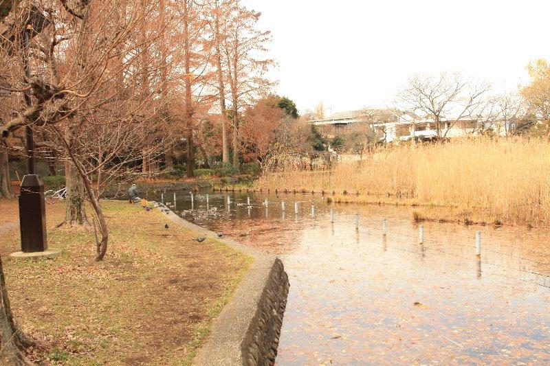 park. 1280m to Zenpukuji park