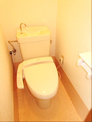 Toilet. Popular with Washlet