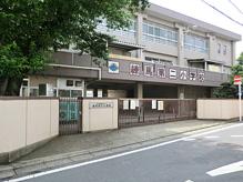 Nerima second elementary school (584m)