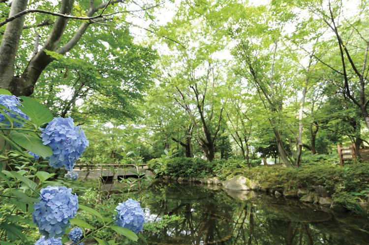 Other. Cool waterside, Song of a bird, Rush forest park so people can watch a lot of flowers and in the green. The summer vacation, Square is also equipped with the day camp to enjoy. I'm happy and located a 10-minute walk holiday will want to go the whole family in the park.