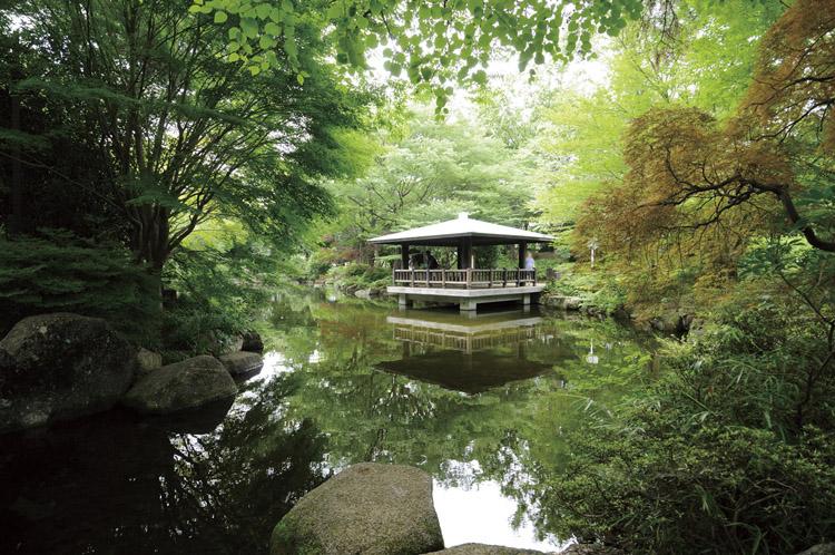 park. 730m to rush Forest Park