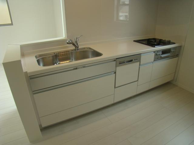 Kitchen. Indoor (12 May 2013) Shooting