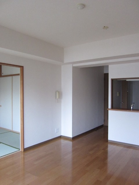 Living and room. The room can be installed the lighting of the "own way."