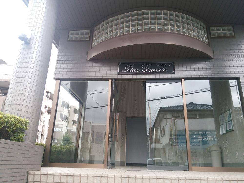 Entrance. Common areas