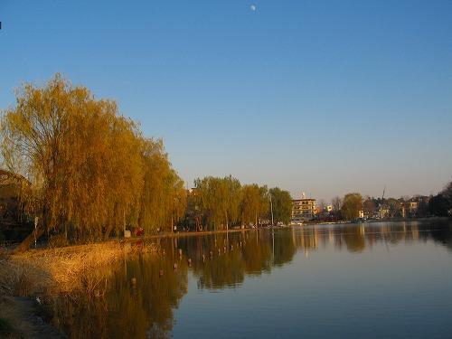 park. Until Shakujii Park 1489m