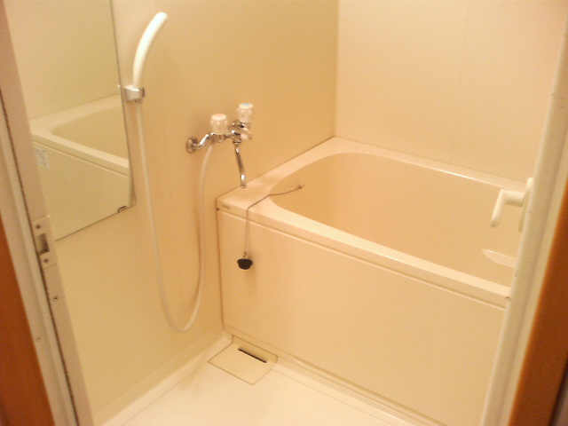 Bath. Big success likely in the bath want to immerse every day with reheating winter.