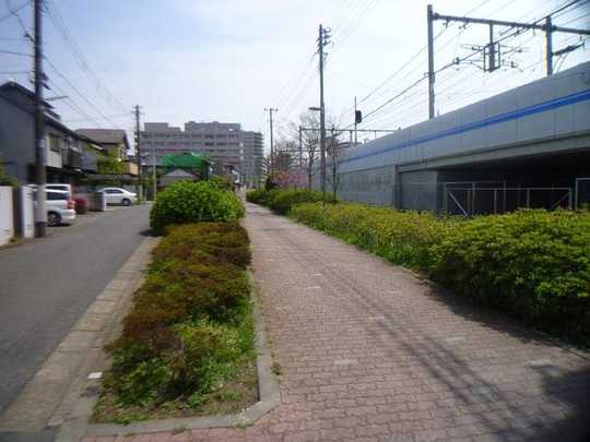 Local land photo. It is a front road photo of property. 