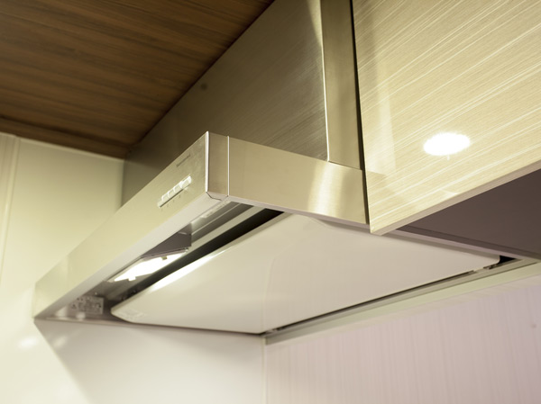 Kitchen. Stainless steel range hood
