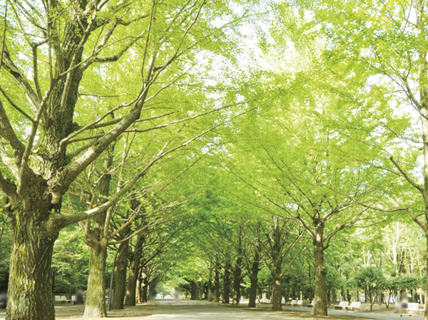 Surrounding environment. Hikarigaoka park (about 2130m / 27 minutes walk)