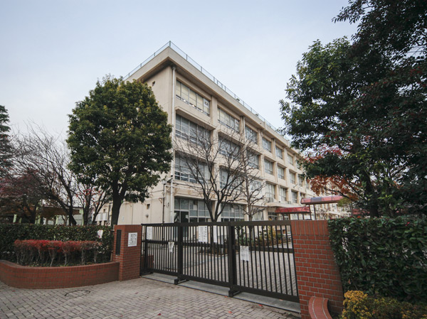 Surrounding environment. NEW