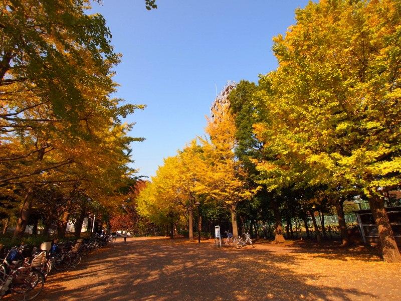 park. Johoku to Central Park 570m