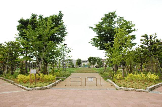 park. 520m up to municipal Nakamura Kashiwa park