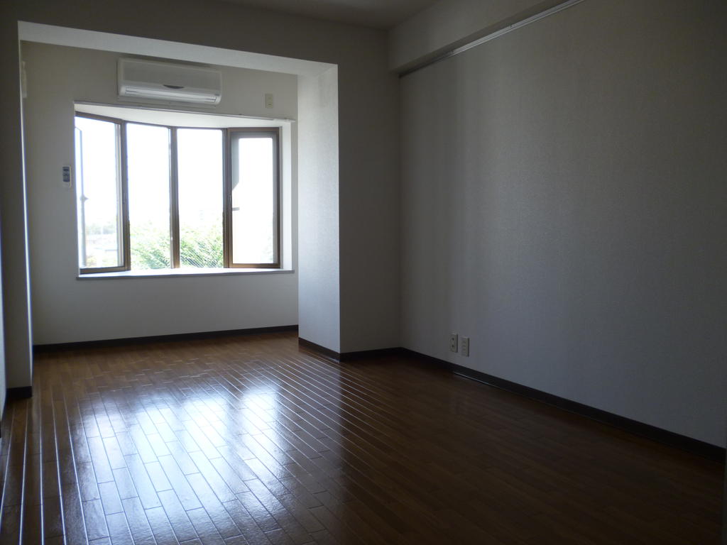 Living and room. Western style room