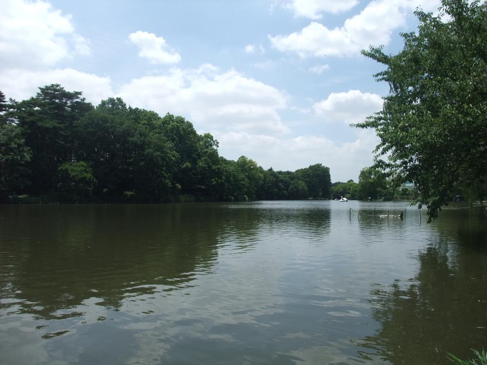 park. 80m green of trees until Shakujii Park boat pond, Life surrounded by nature, The fact that here is the 23 wards seems to lie.
