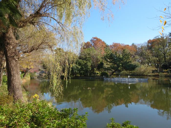 park. It is 100m to the shooting point